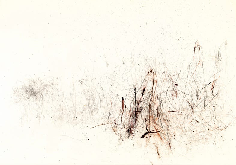 Myonghi 明 姬, Grass, Nonjitmoul 4 《草, 諾基姆 4》, 2013