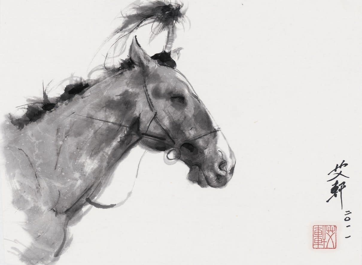 Ai Xuan 艾 軒, Horse King 《馬王》, 2011