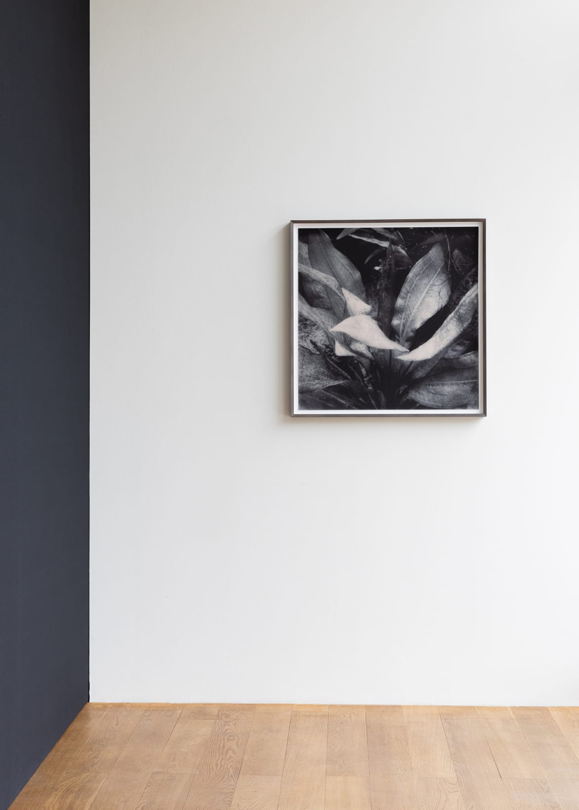 Yulia Mahr, Below, 2020