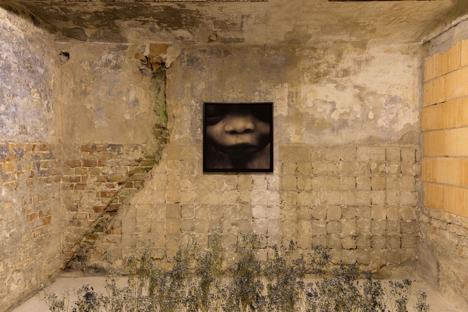 Yulia Mahr, Untitled, 2023