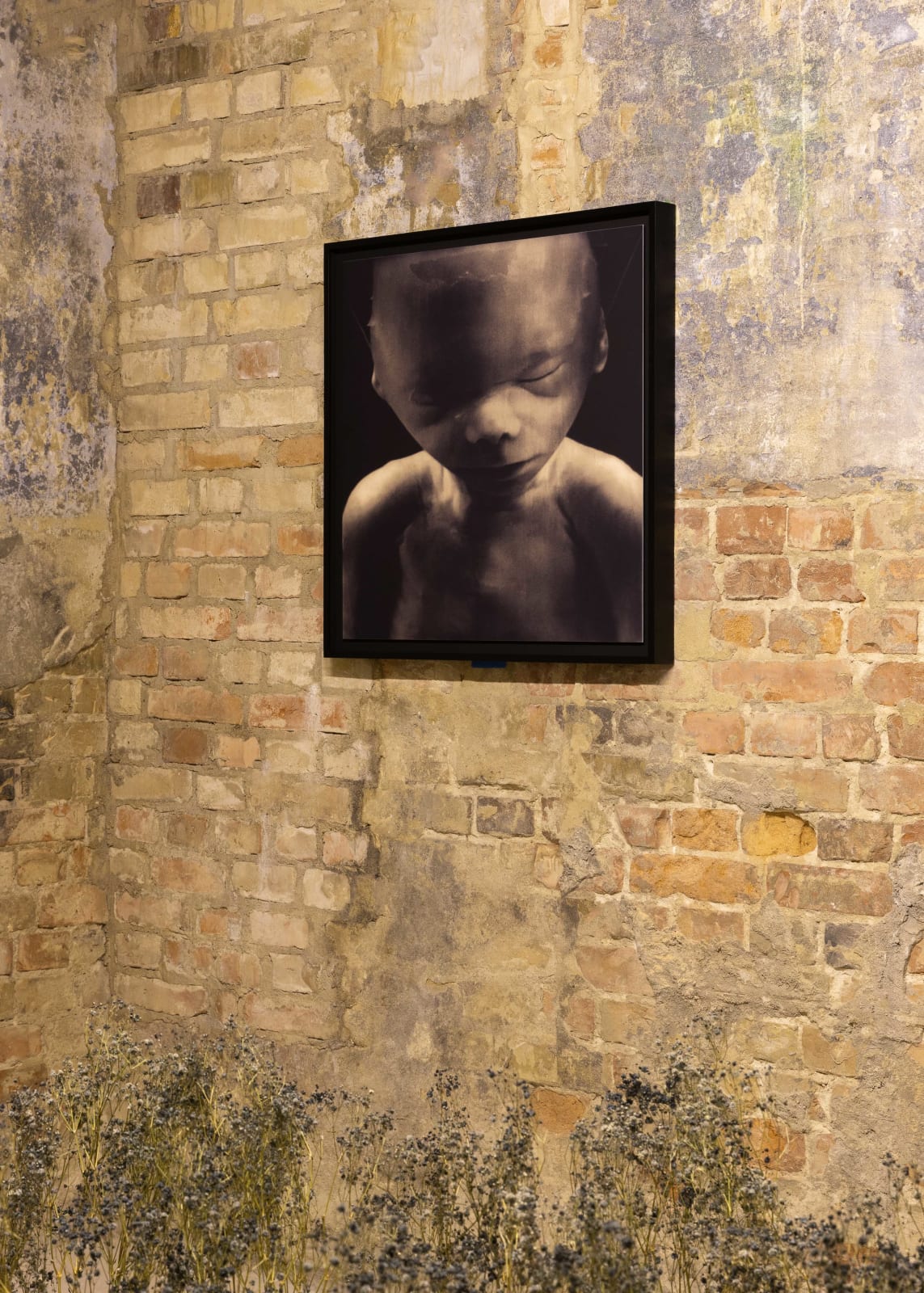 Yulia Mahr, Untitled, 2023