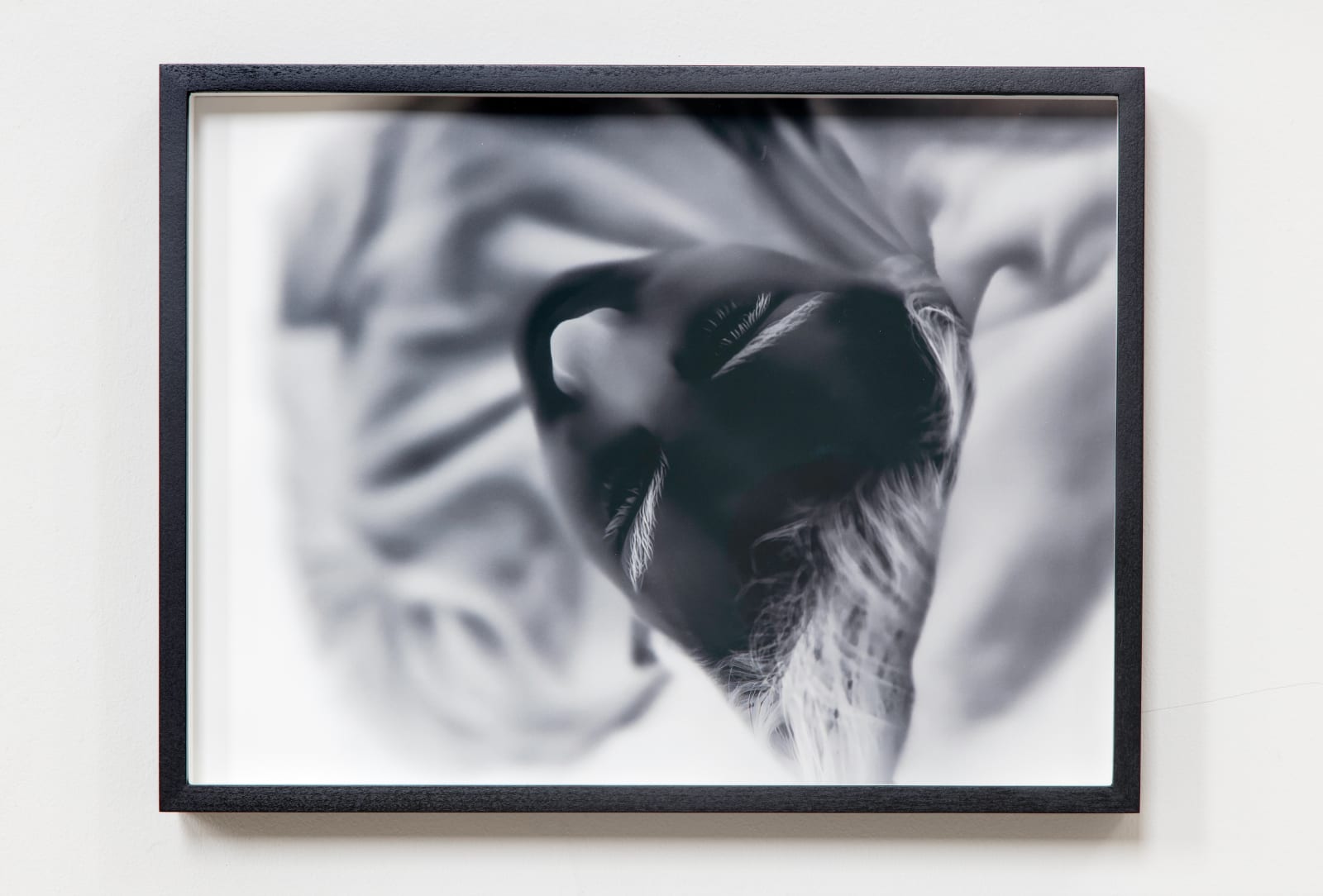 Speaking in Dreams III, 2025