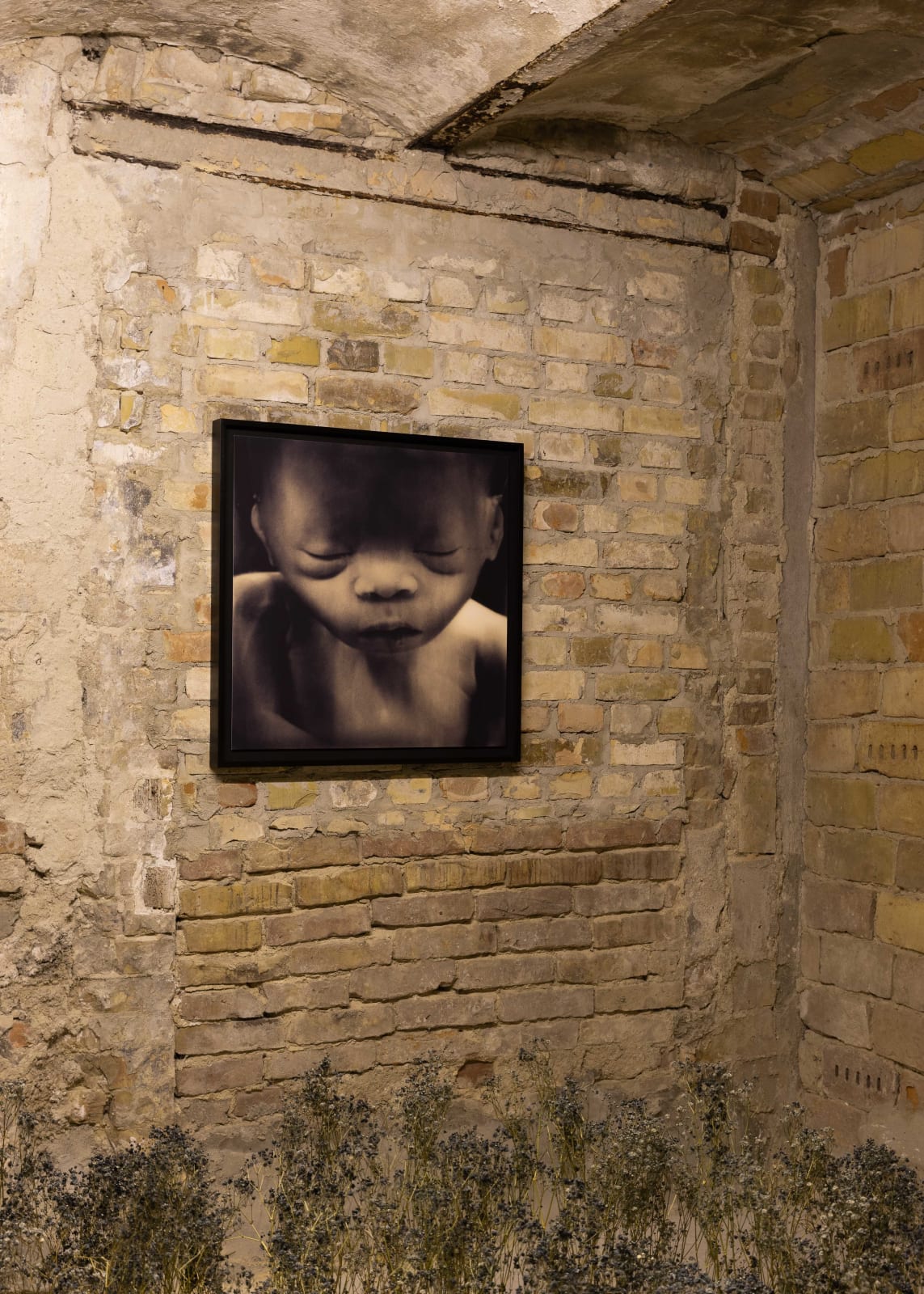 Yulia Mahr, Untitled, 2023