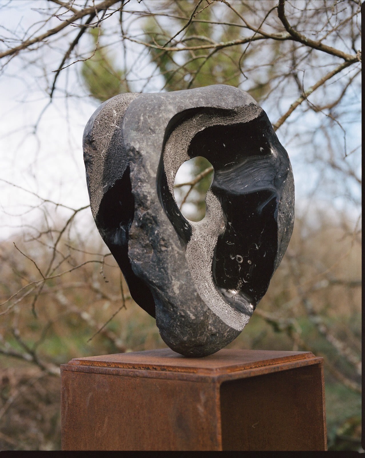 Luke Alen-Buckley, Talisman VIII, 2020