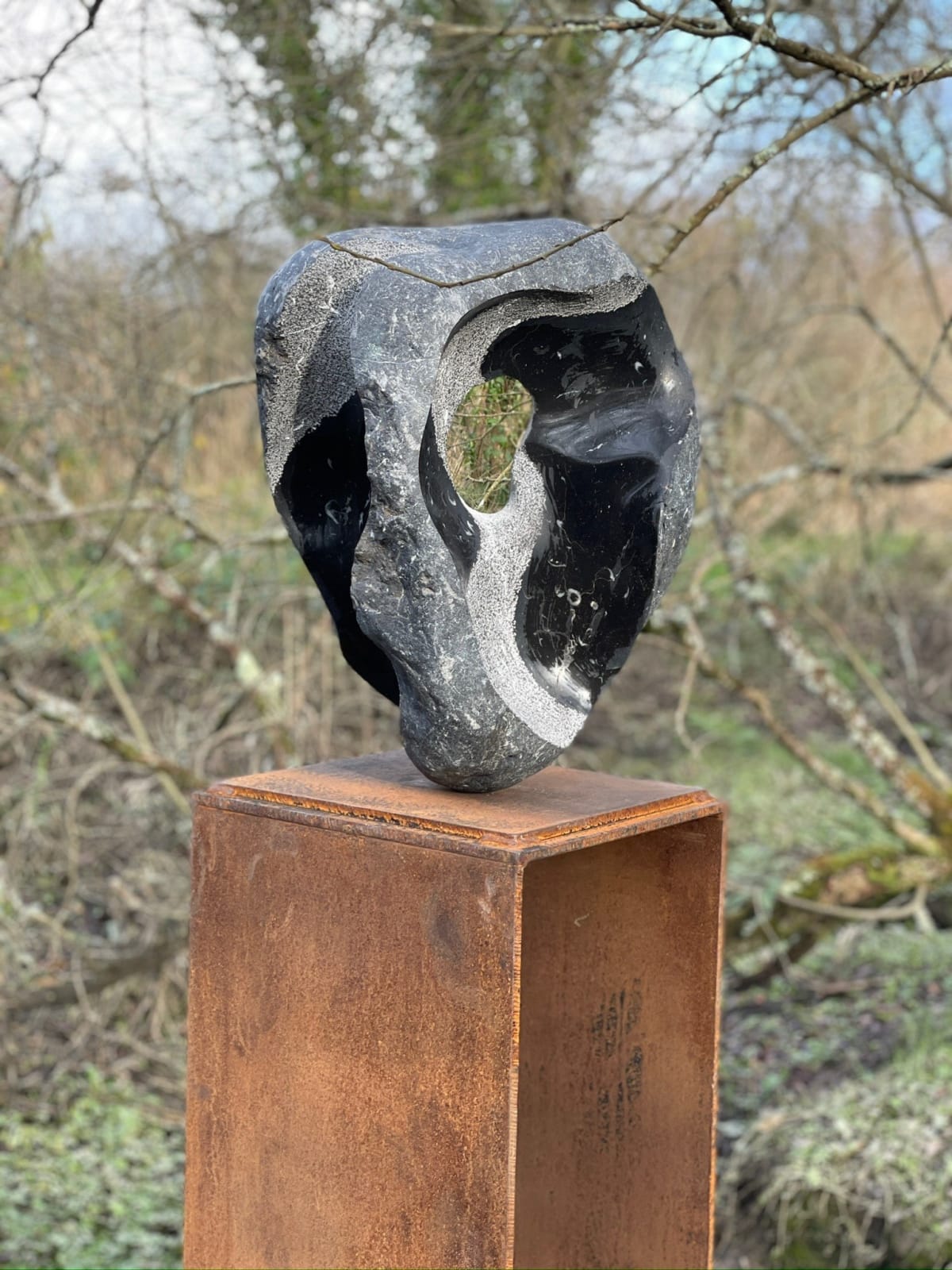 Luke Alen-Buckley, Talisman VIII, 2020