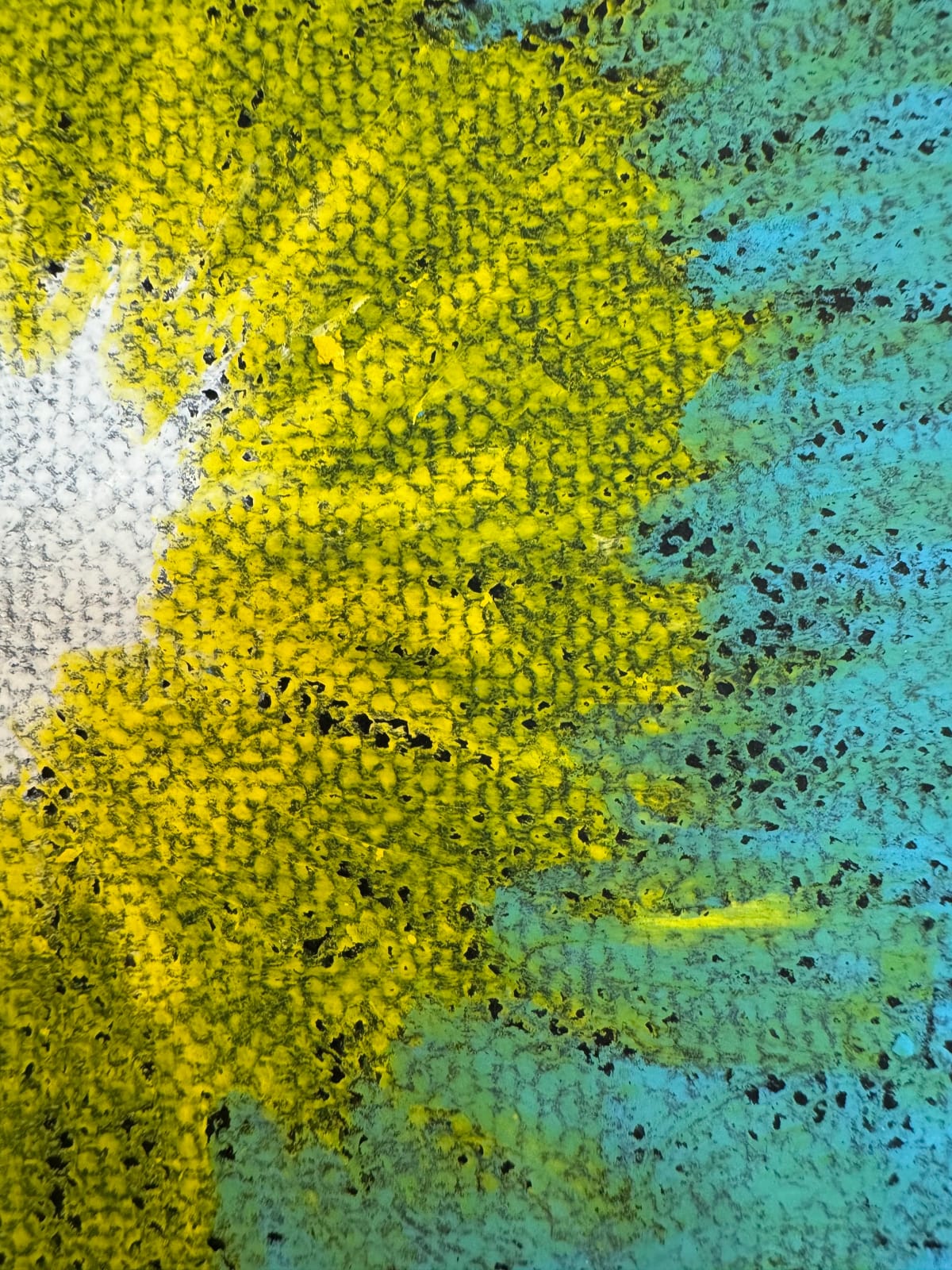 Campbell-Lynn McLean, Sun Shone, 2025