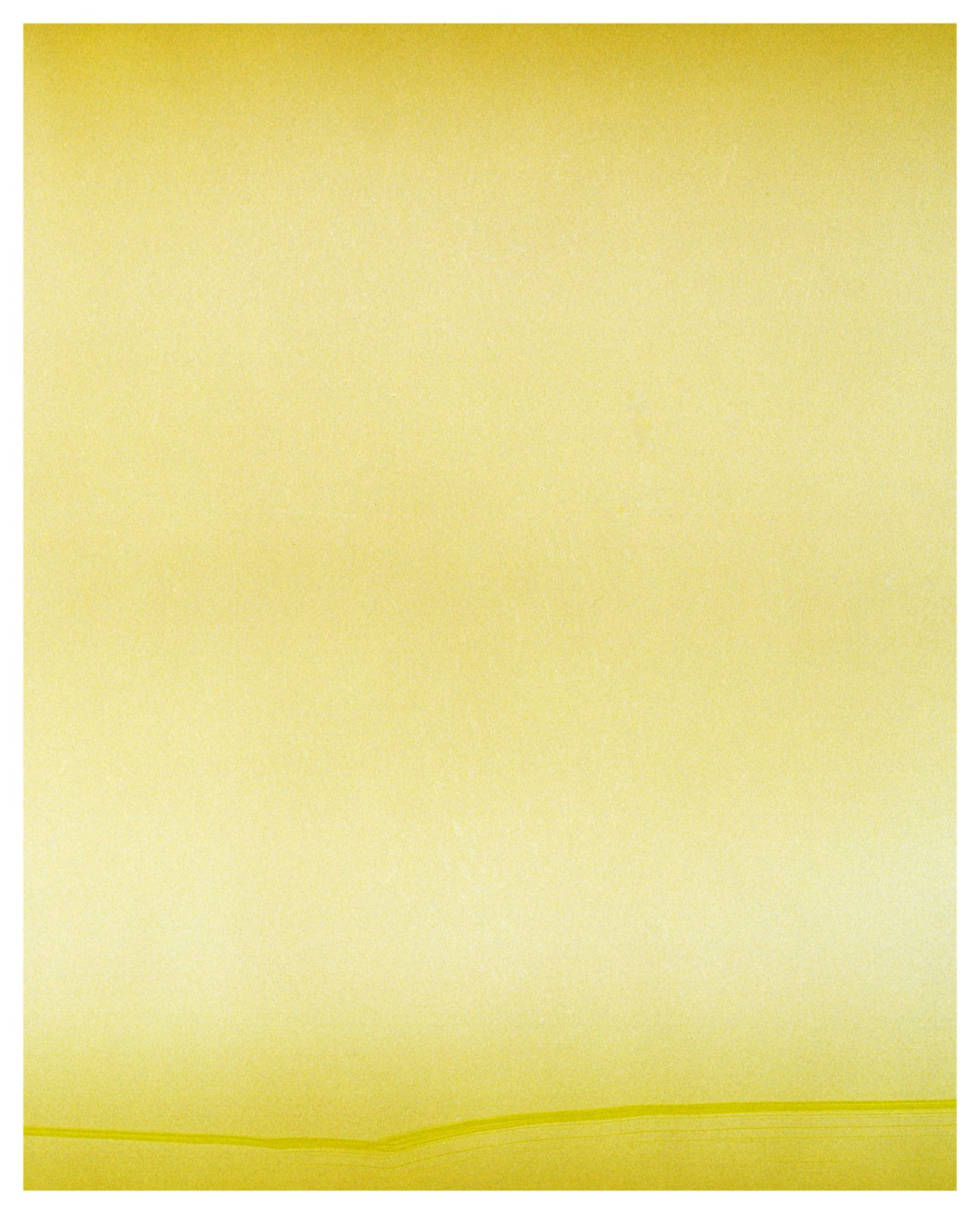 Vasylyna Vrublevska, Sunflower #1488, 2024