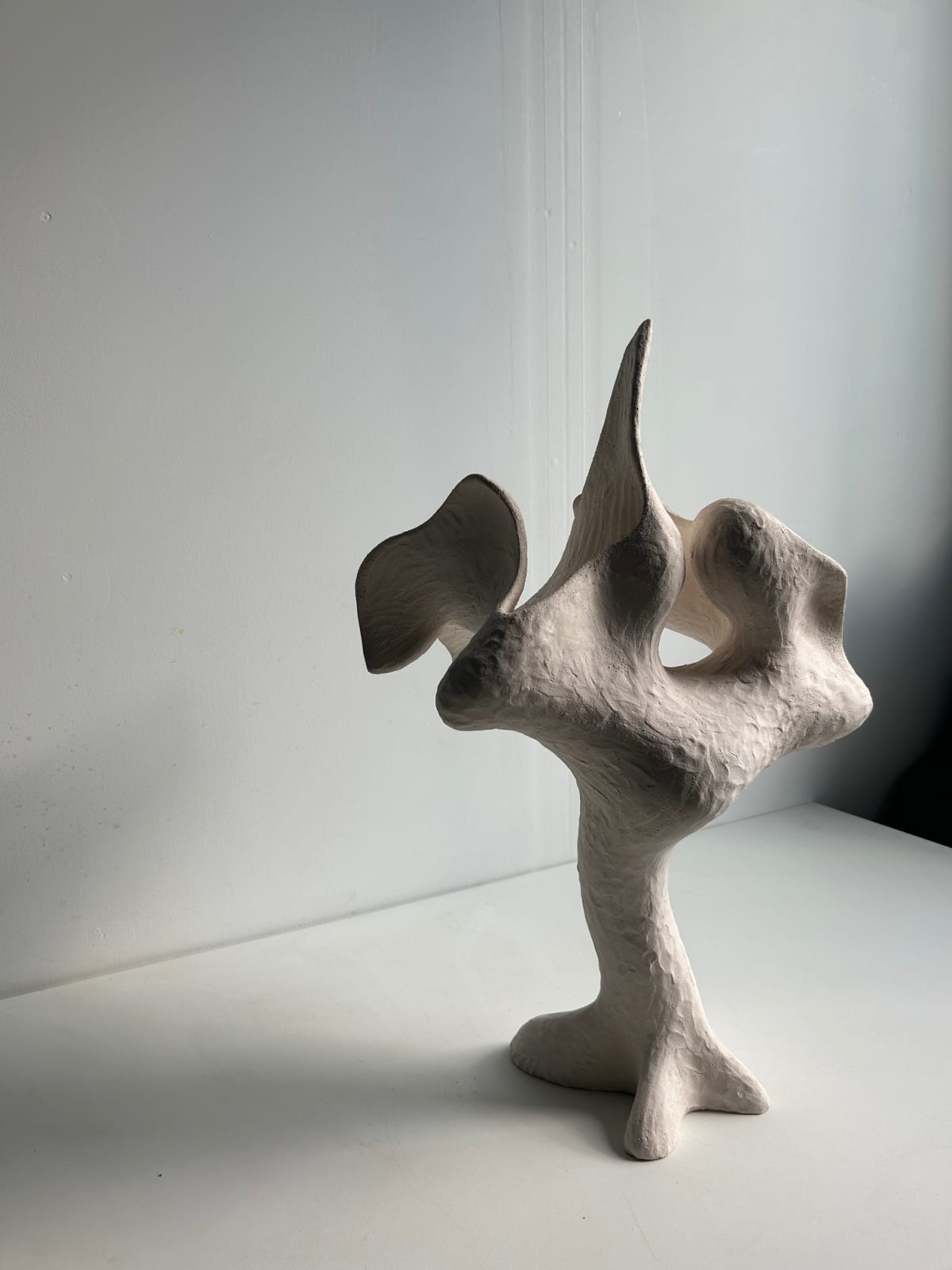 Olga Sabko, Listener, 2023