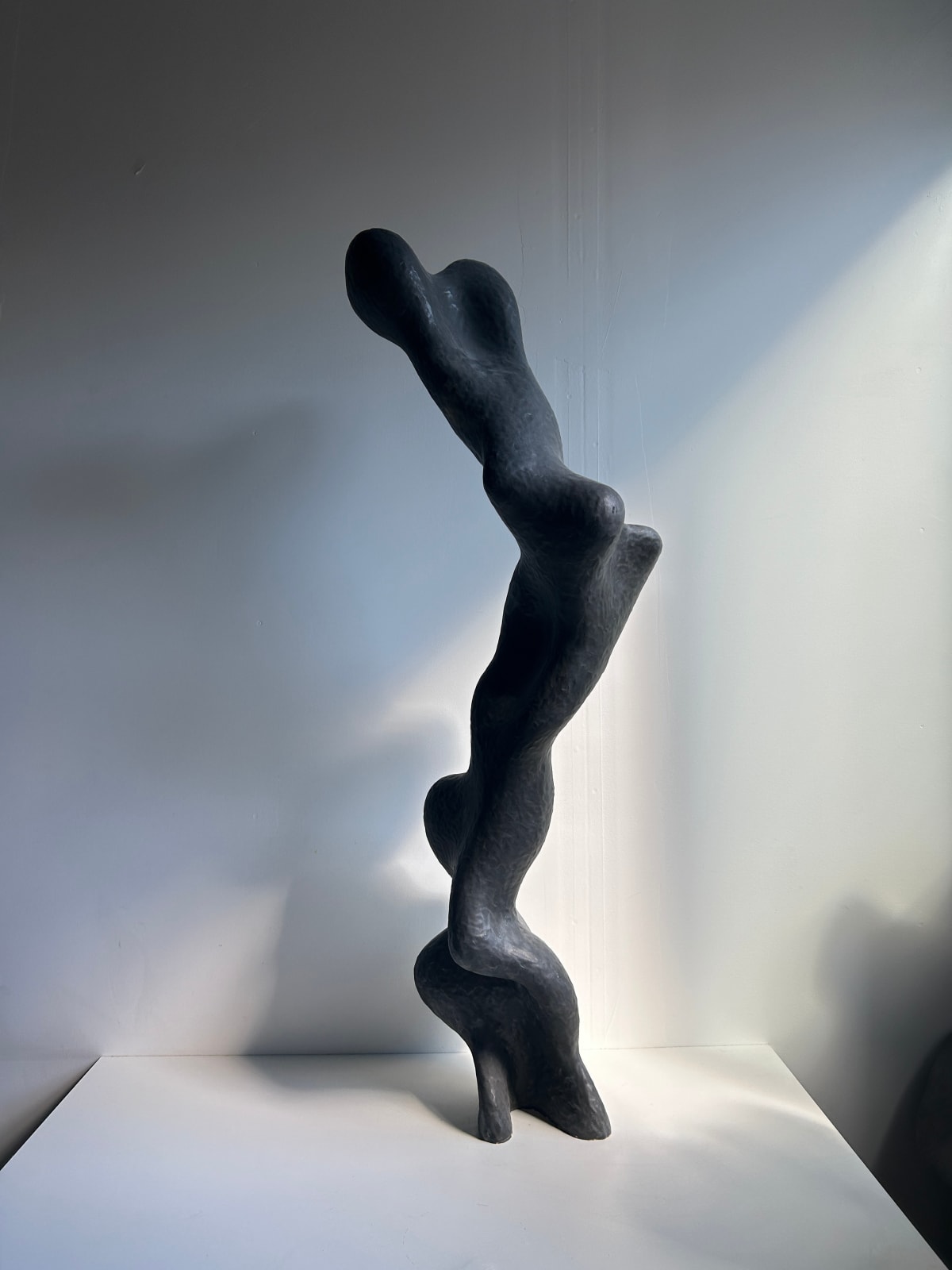 Olga Sabko, Black Cloud Series , 2024
