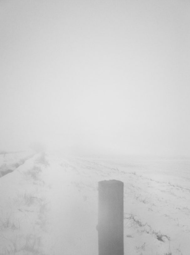 Stephen Gill, The Pillar, 2015 - 2019