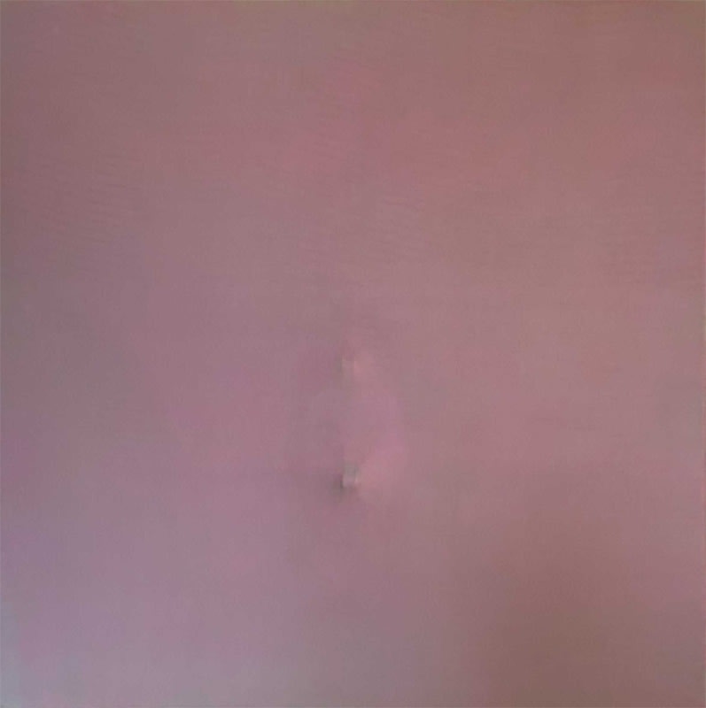 Michel Mouffe, Jaume Ferrer Ferrer, 2018