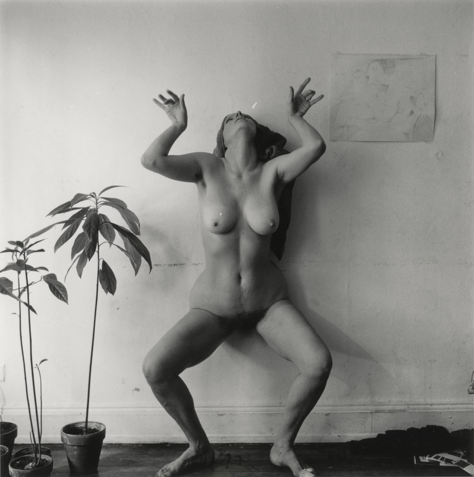 Melissa Shook, May 12, 1973