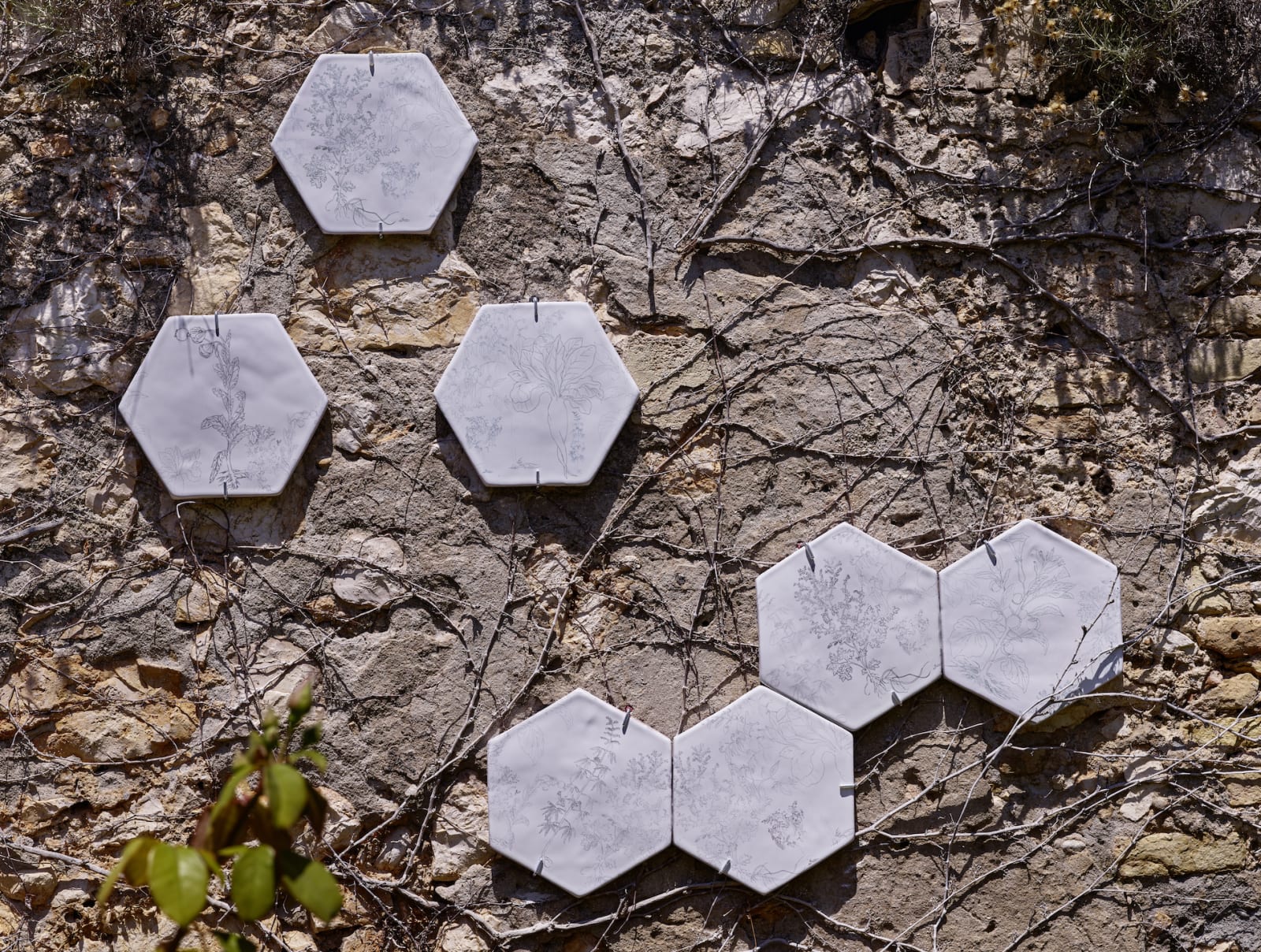 Jeanne Susplugas, Plantes toxiques , 2023