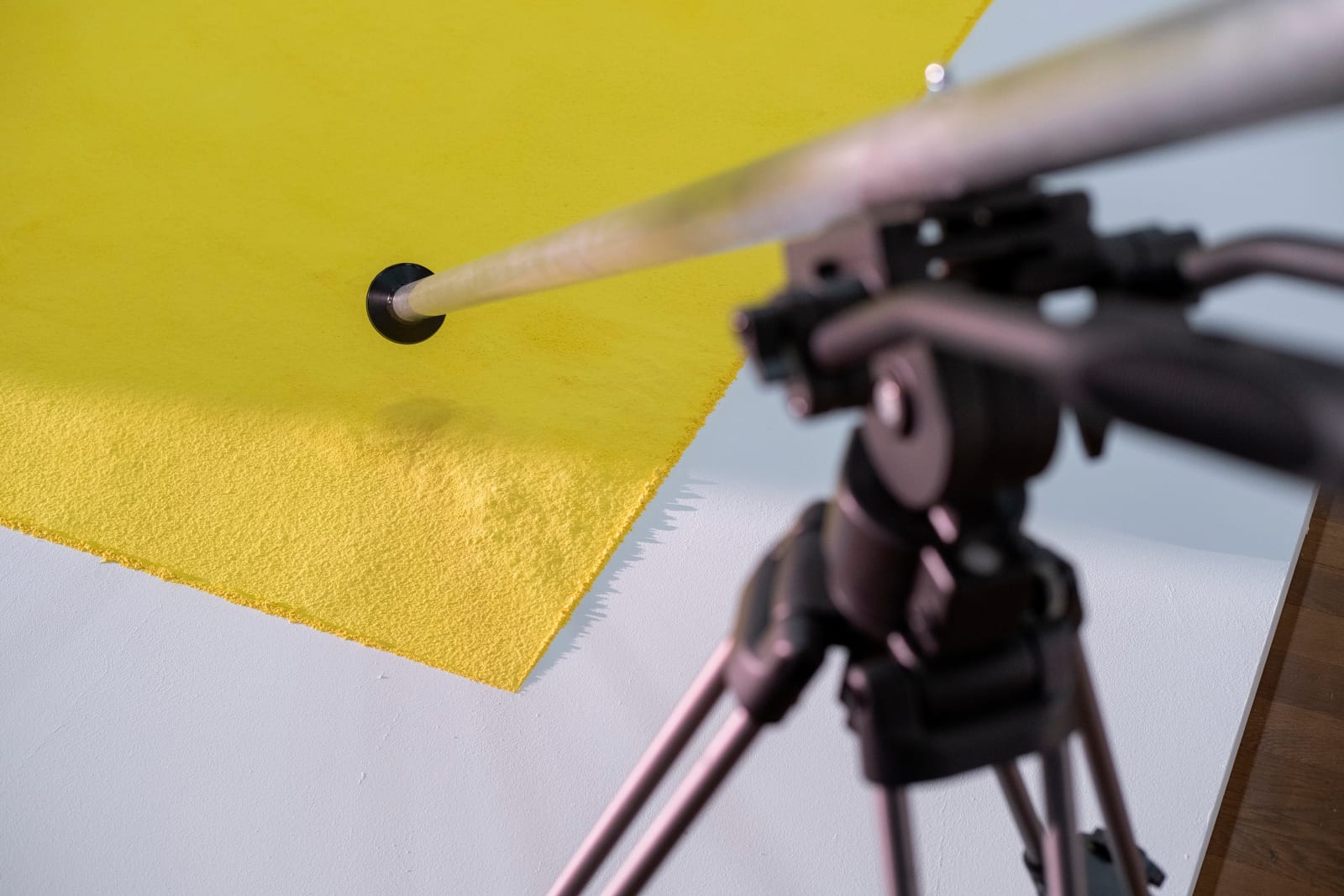 LAb[au], 1600 years of light, field, 2023