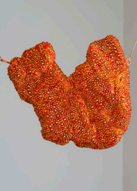 Irina Rasquinet, Désert liquide, 2024