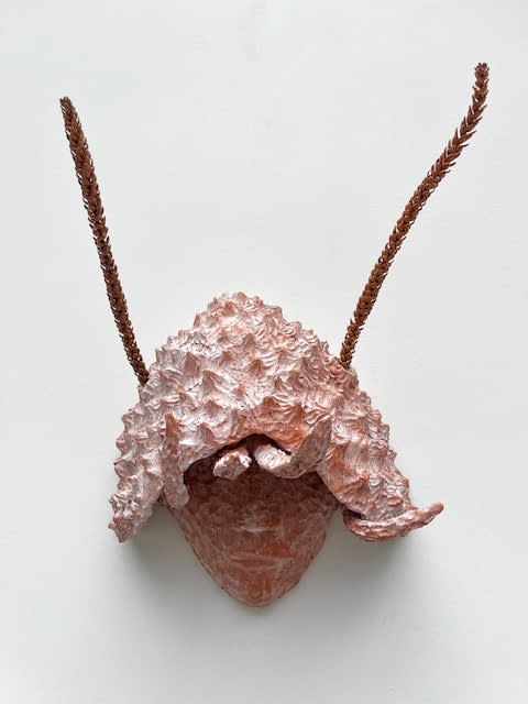 Elsa Guillaume, Pagure vigie II, 2024