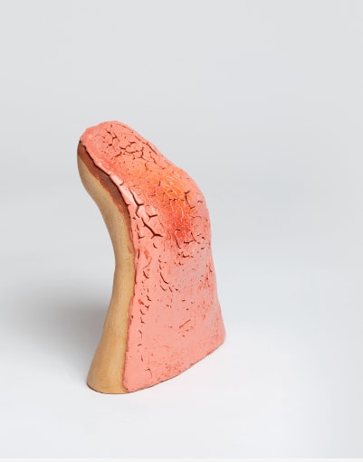 Arina Antonova, Textured Tongue, 2023