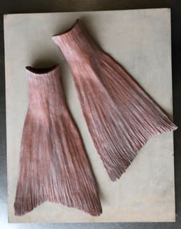 Elsa Guillaume, Palmes pagures I, 2024