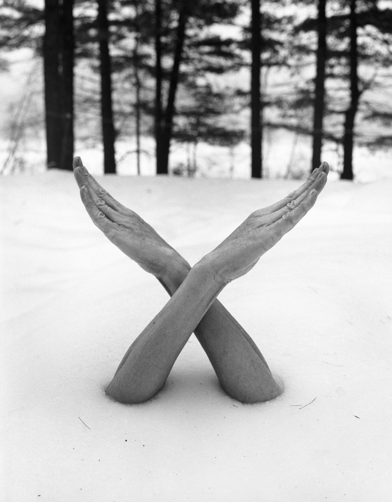 Arno Rafael Minkkinen, Fosters Pond, 1996