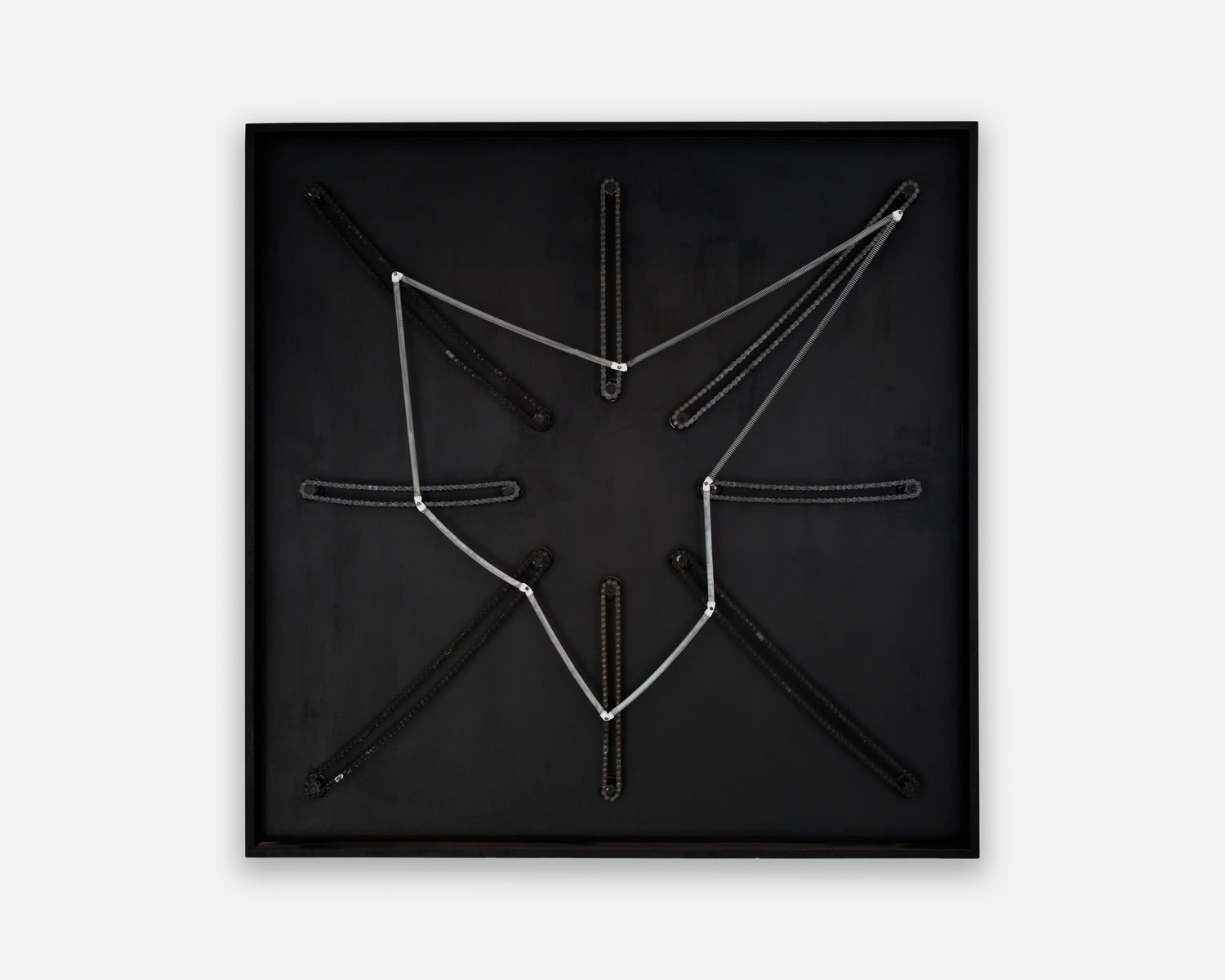 Roger Vilder, Organisme Géométrique #2, 2005