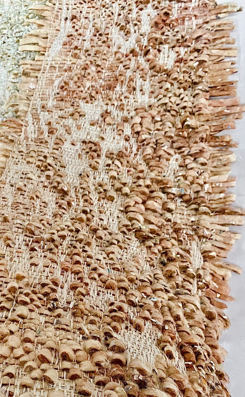 Geneviève Levivier, The skin of the tree III, 2024