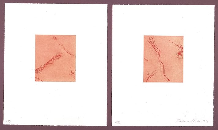 Rebecca Horn, Untitled Diptych, 1998