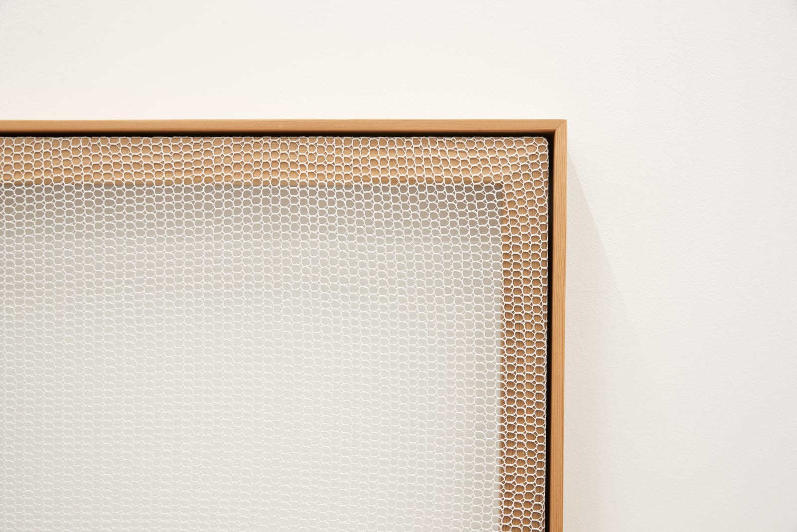 Rachel Hope Peary, Trellis, 2022