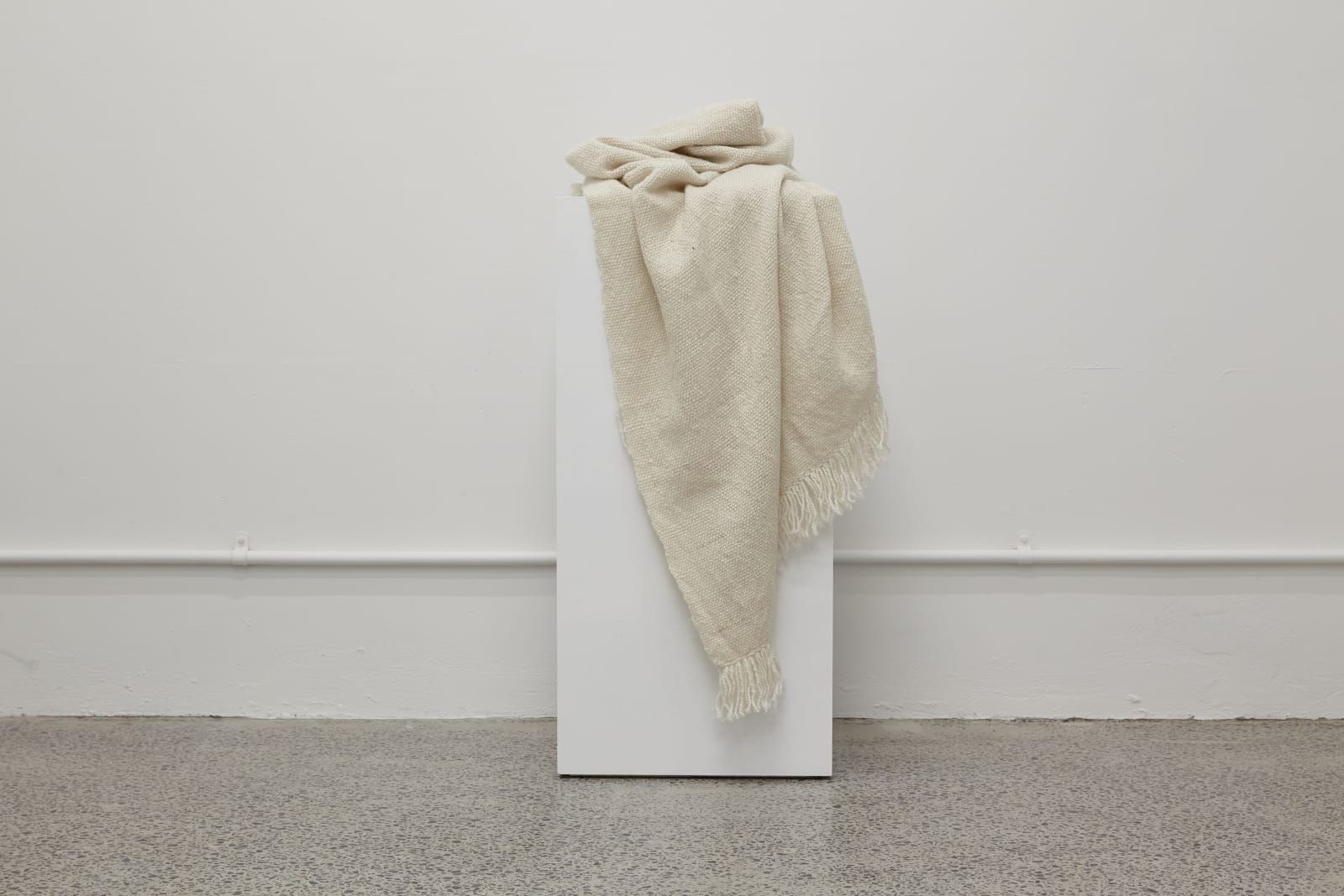 Daegan Wells, Extract from the exhibition Bush Coat, work 3 (blanket), 2020