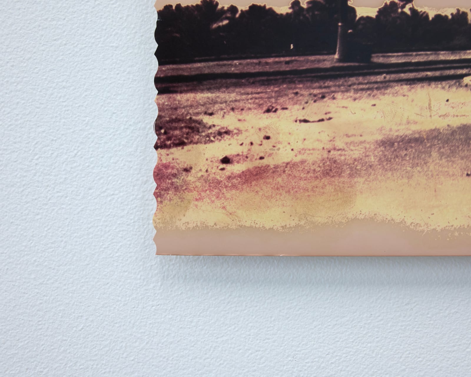 Timothy Webby, Untitled (Pyramids of Giza), 2025