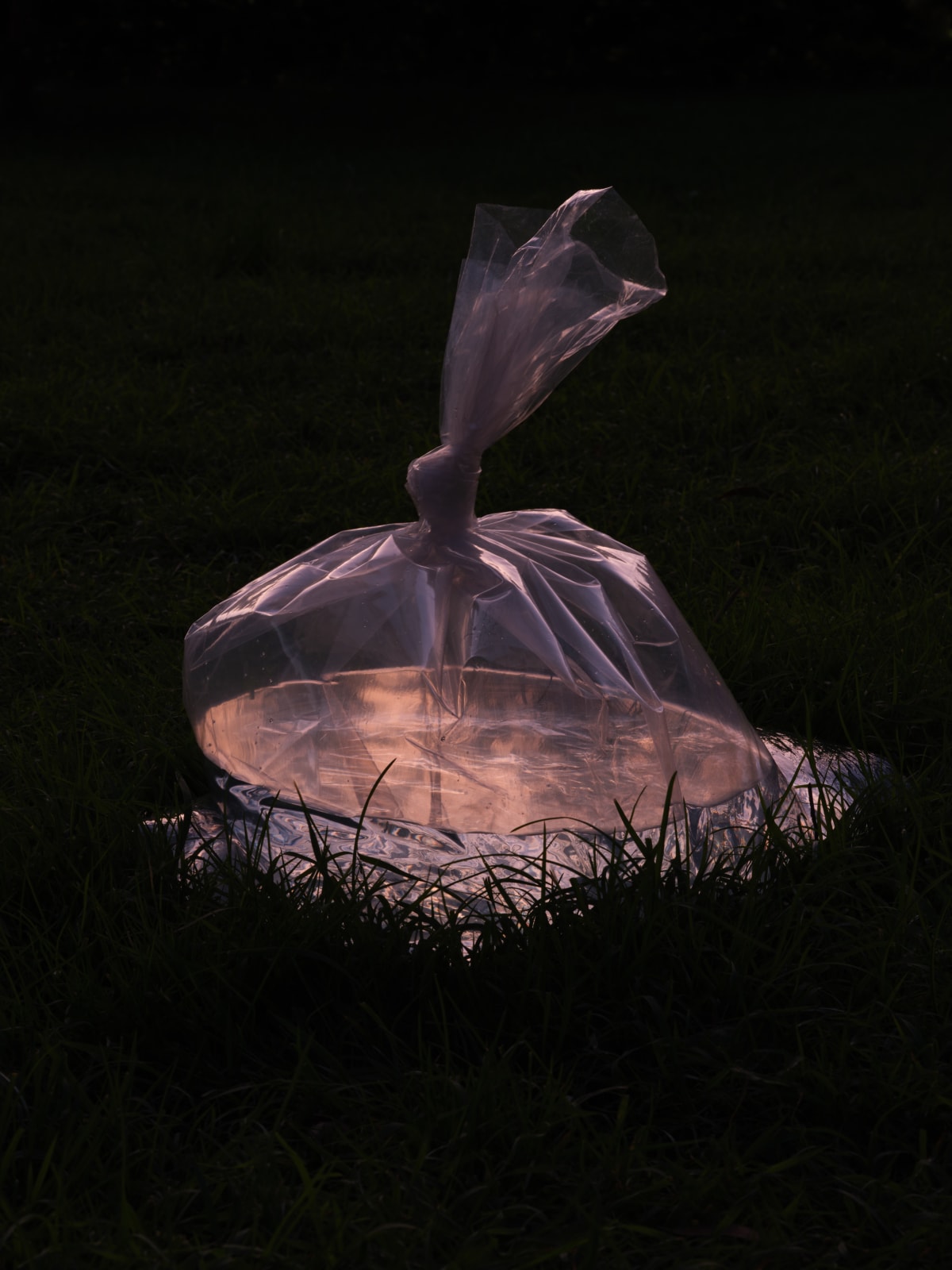 Roberta Thornley, Knotted Bag, 2022