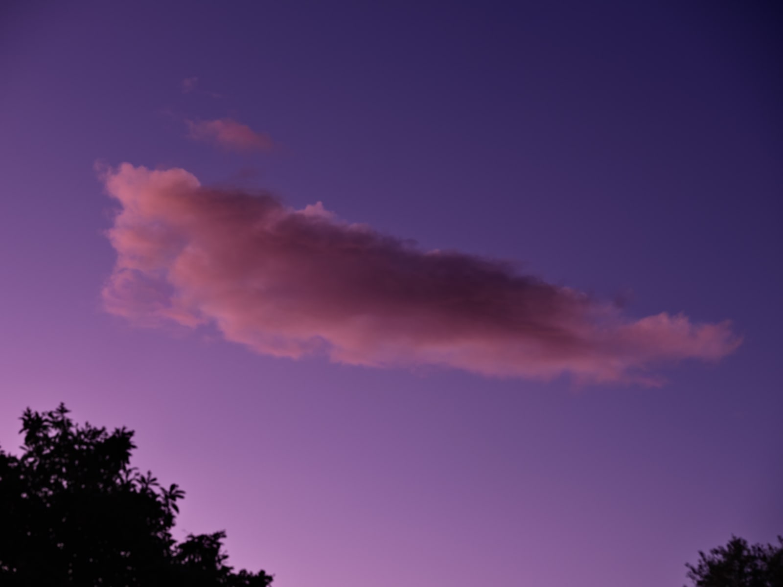 Roberta Thornley, Cloud, 2022