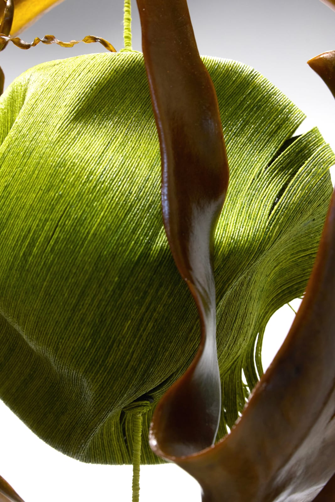 Heidi Brickell, Another Aorangi , 2025