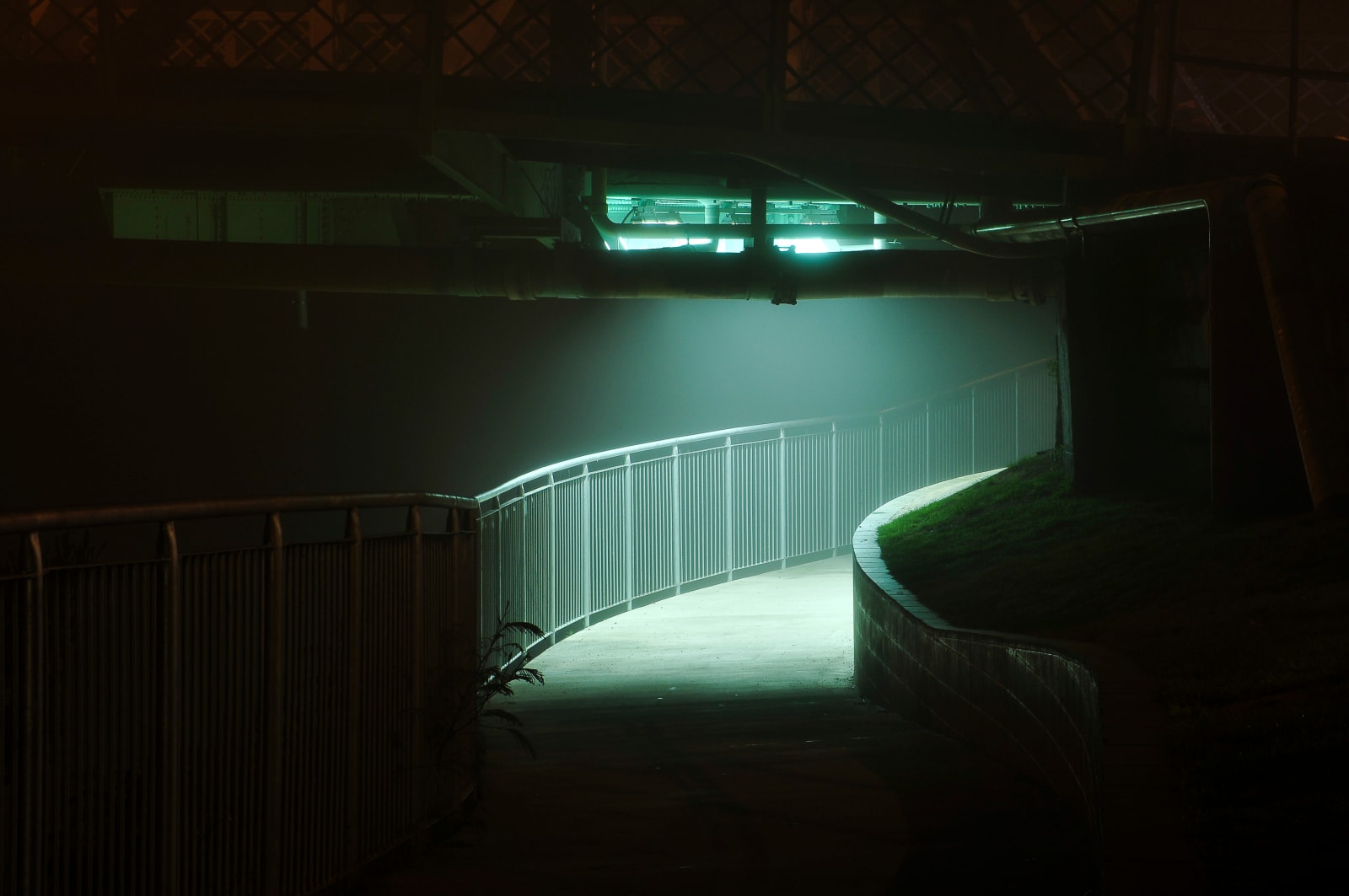 Tia Ranginui, Pavement, 2016