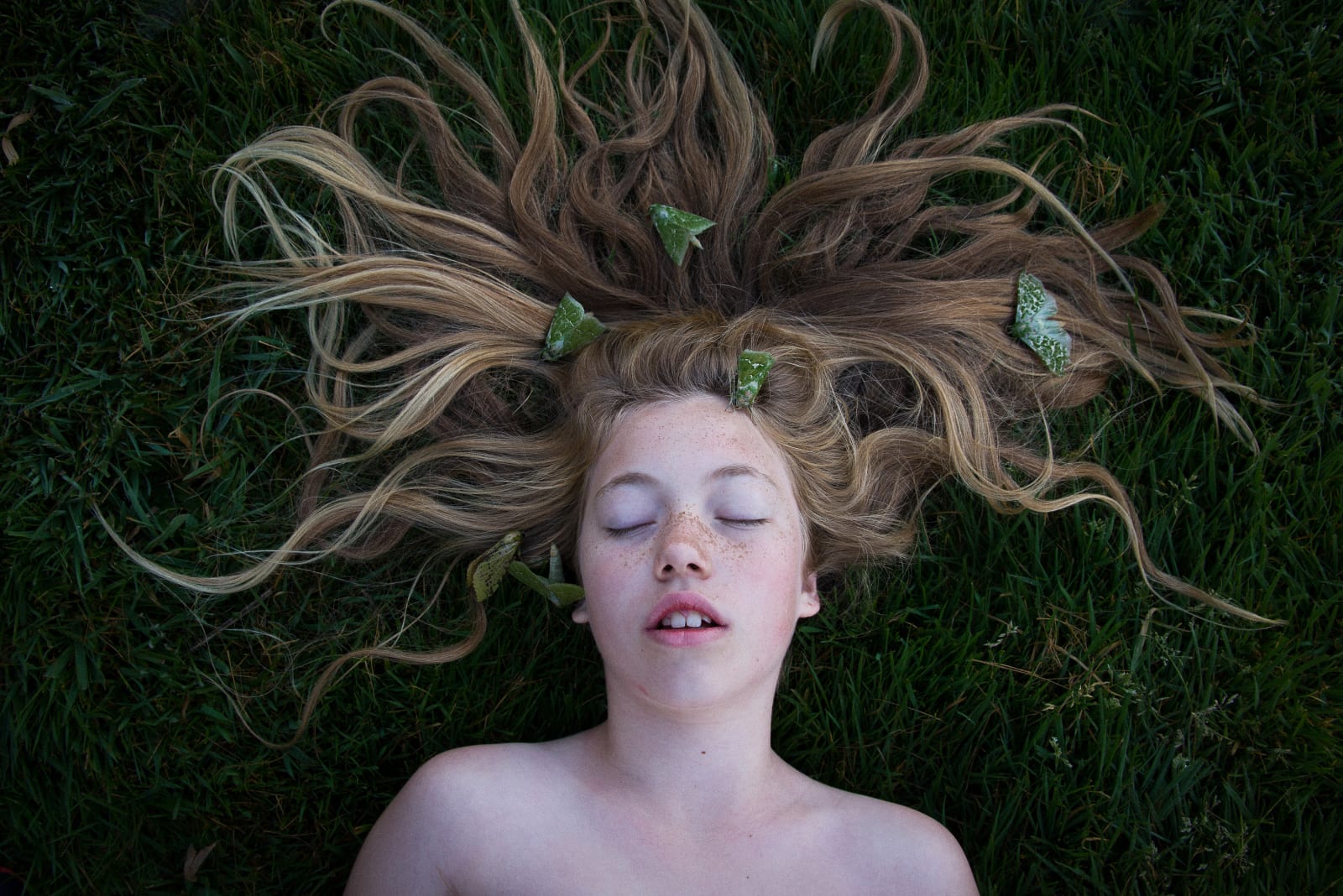 Tia Ranginui, Ghost Moth, 2014