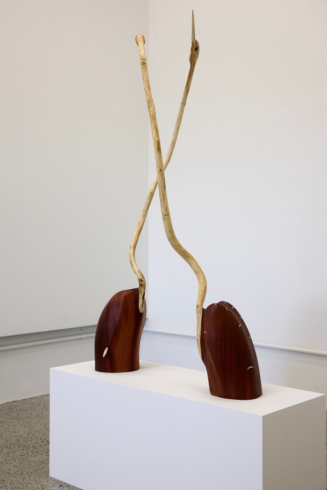 John Ward Knox, Kōtuku i + ii, 2024