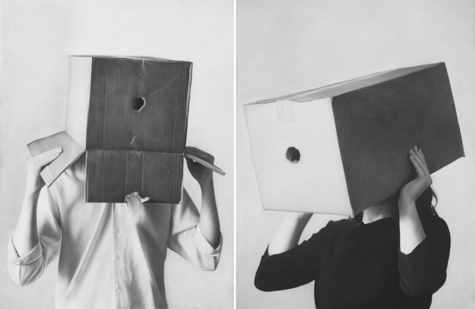 Harry McAlpine, The Daily Me, 2018