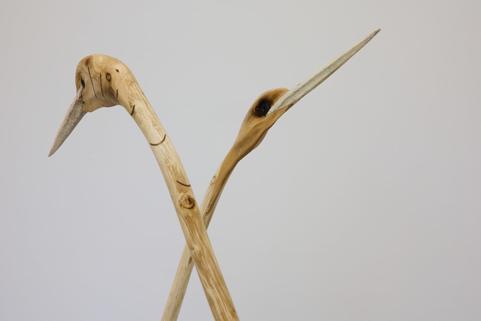 John Ward Knox, Kōtuku i + ii, 2024