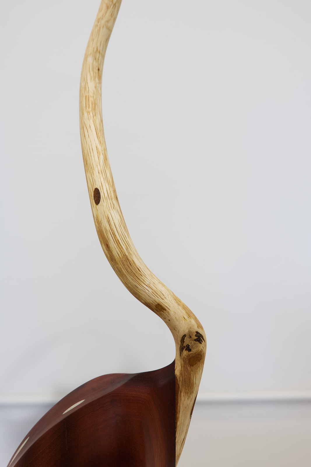 John Ward Knox, Kōtuku i + ii, 2024