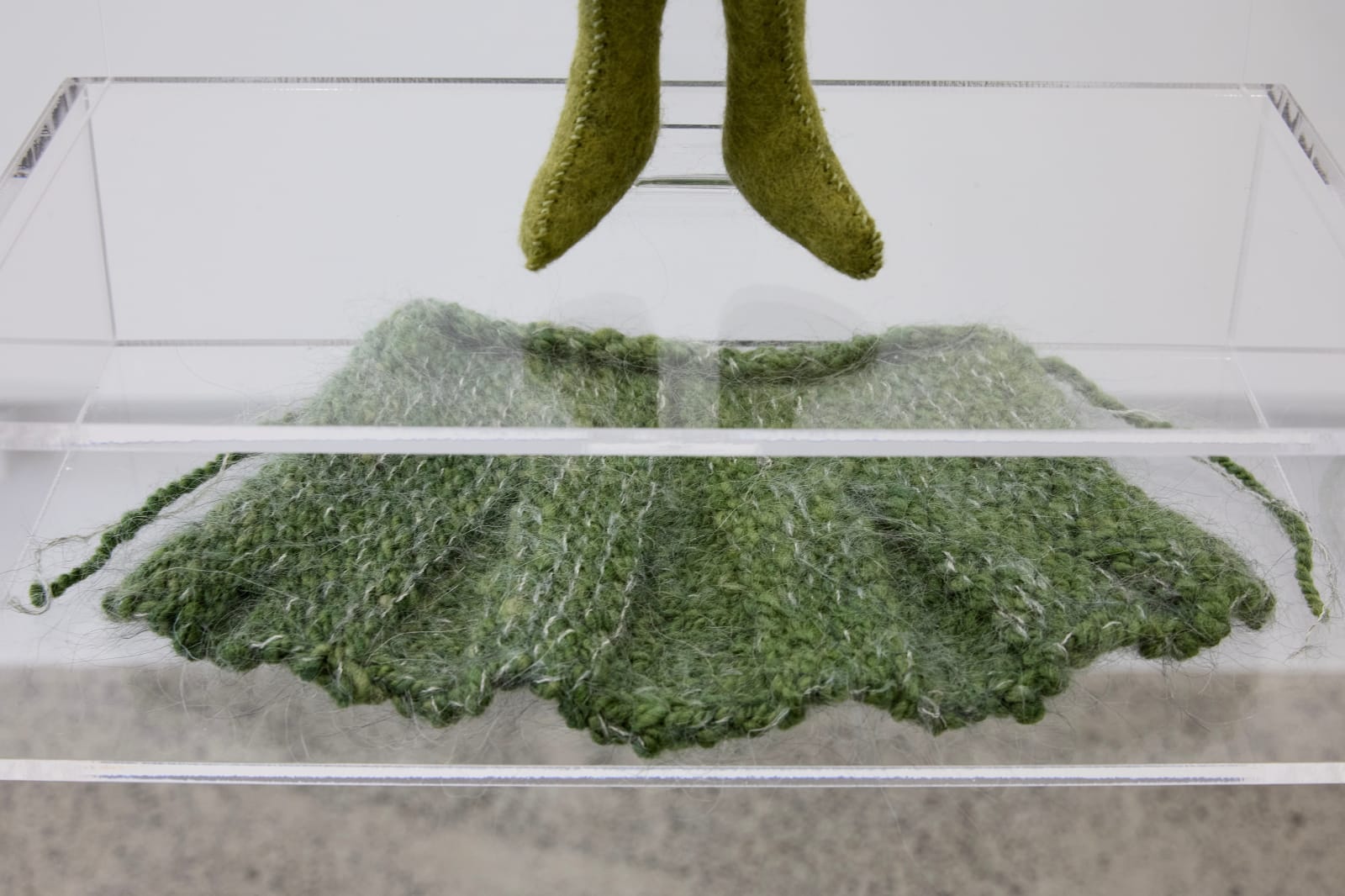 Te Maari, (E) Hōri Taranaki, Kākāpō-Groundparrot of Broadway, 2024