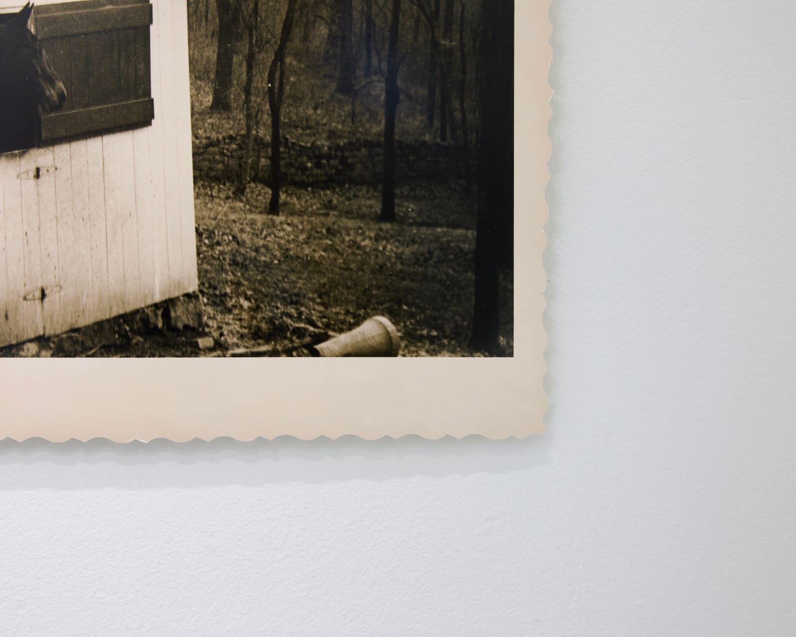 Timothy Webby, Untitled (Horse stable in Canada), 2025