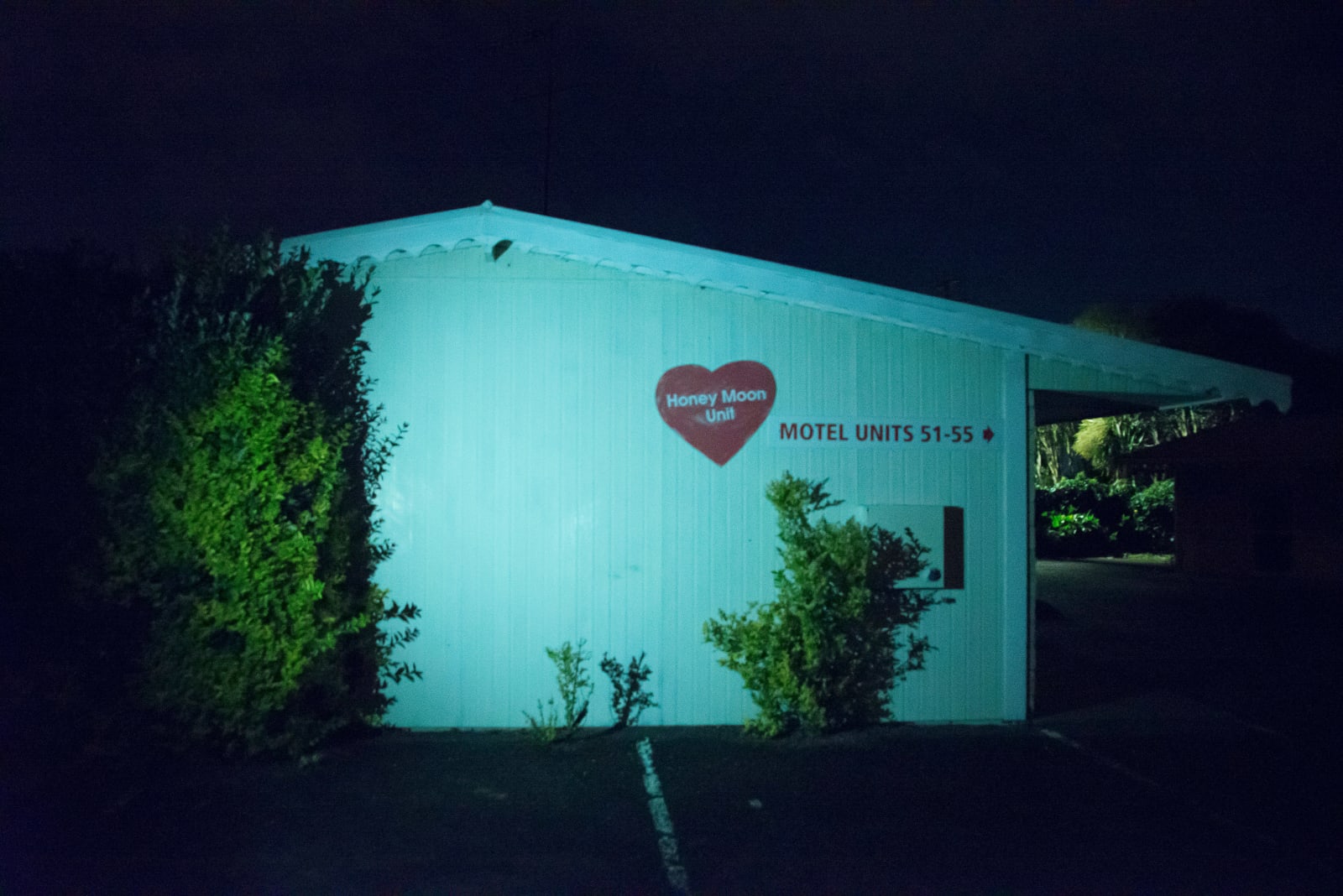 Tia Ranginui, A Gonville Honeymoon, 2016