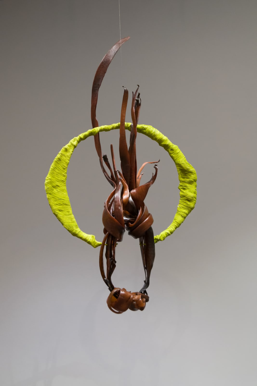 Heidi Brickell, 2023