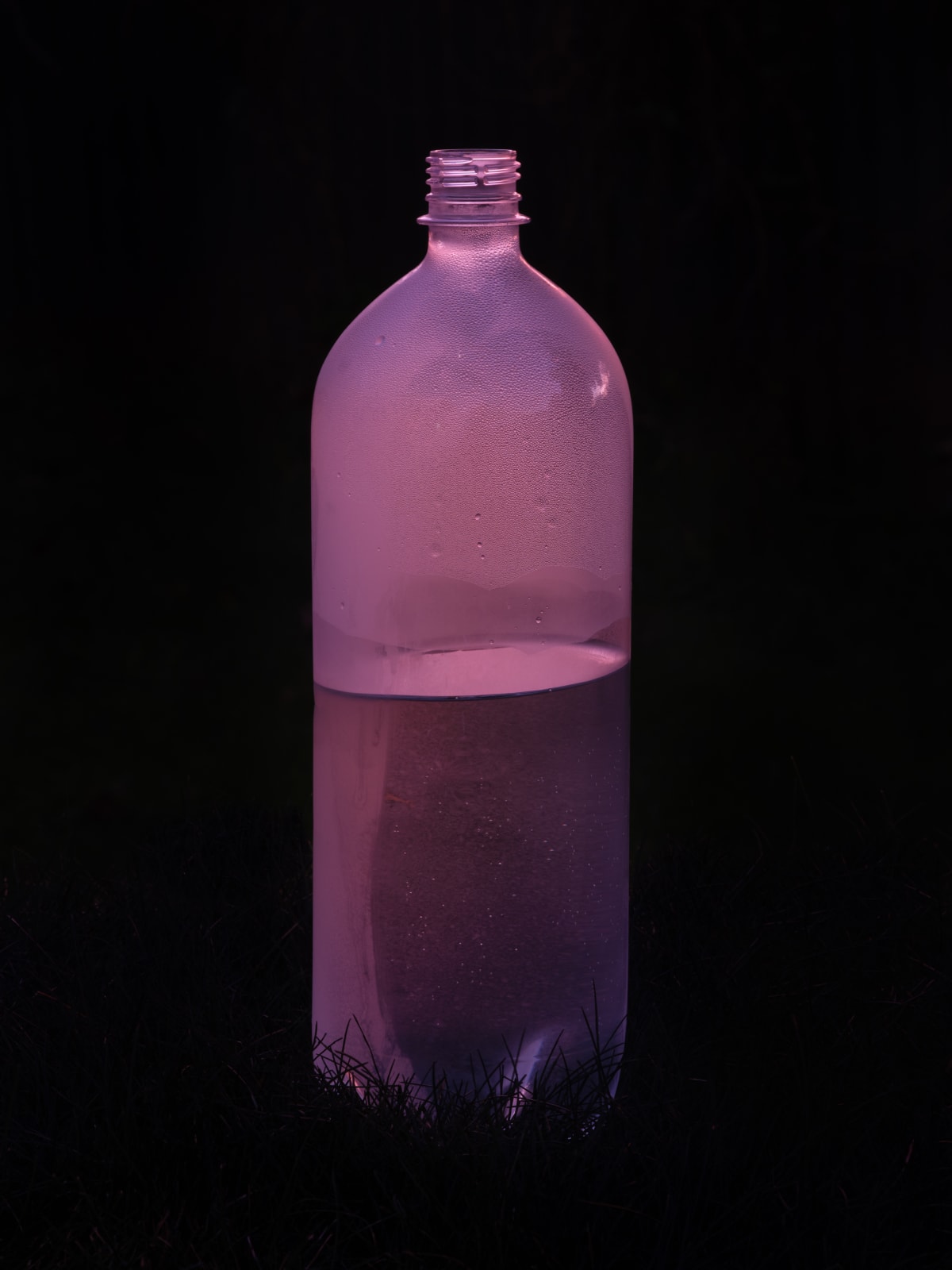Roberta Thornley, Lemonade Bottle, 2022