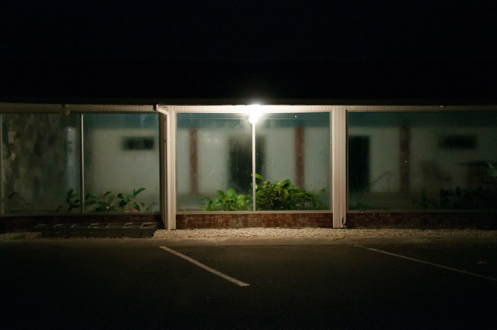 Tia Ranginui, Oasis, 2016