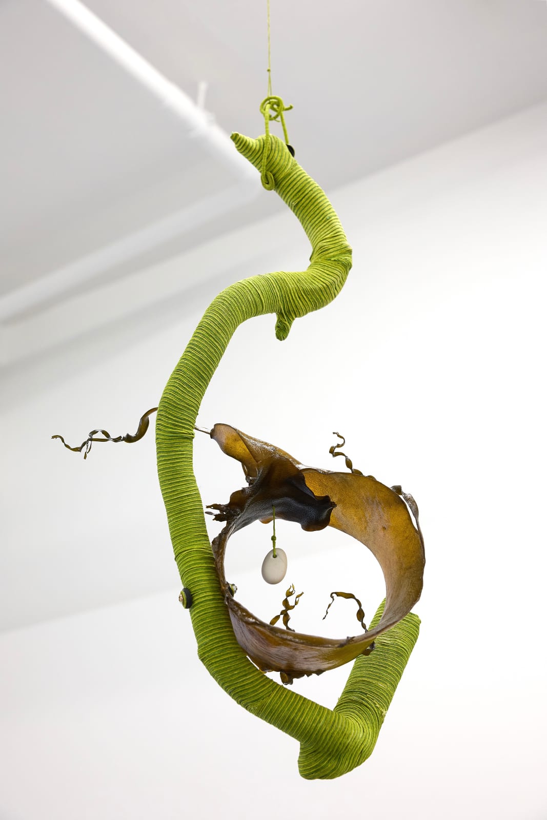 Heidi Brickell, Safe euphoric ara with Hine Kōrako, 2025