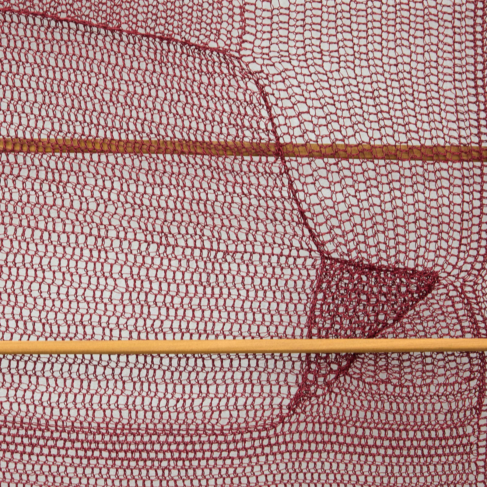 Rachel Hope Peary, Sweetly, seperate yet the same, 2024