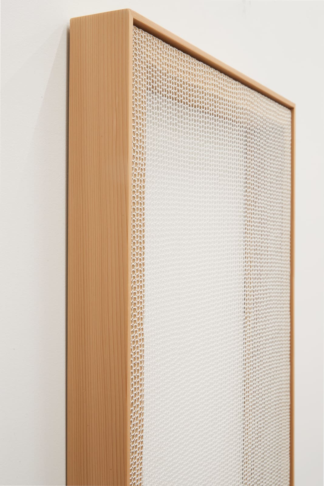 Rachel Hope Peary, Trellis, 2022