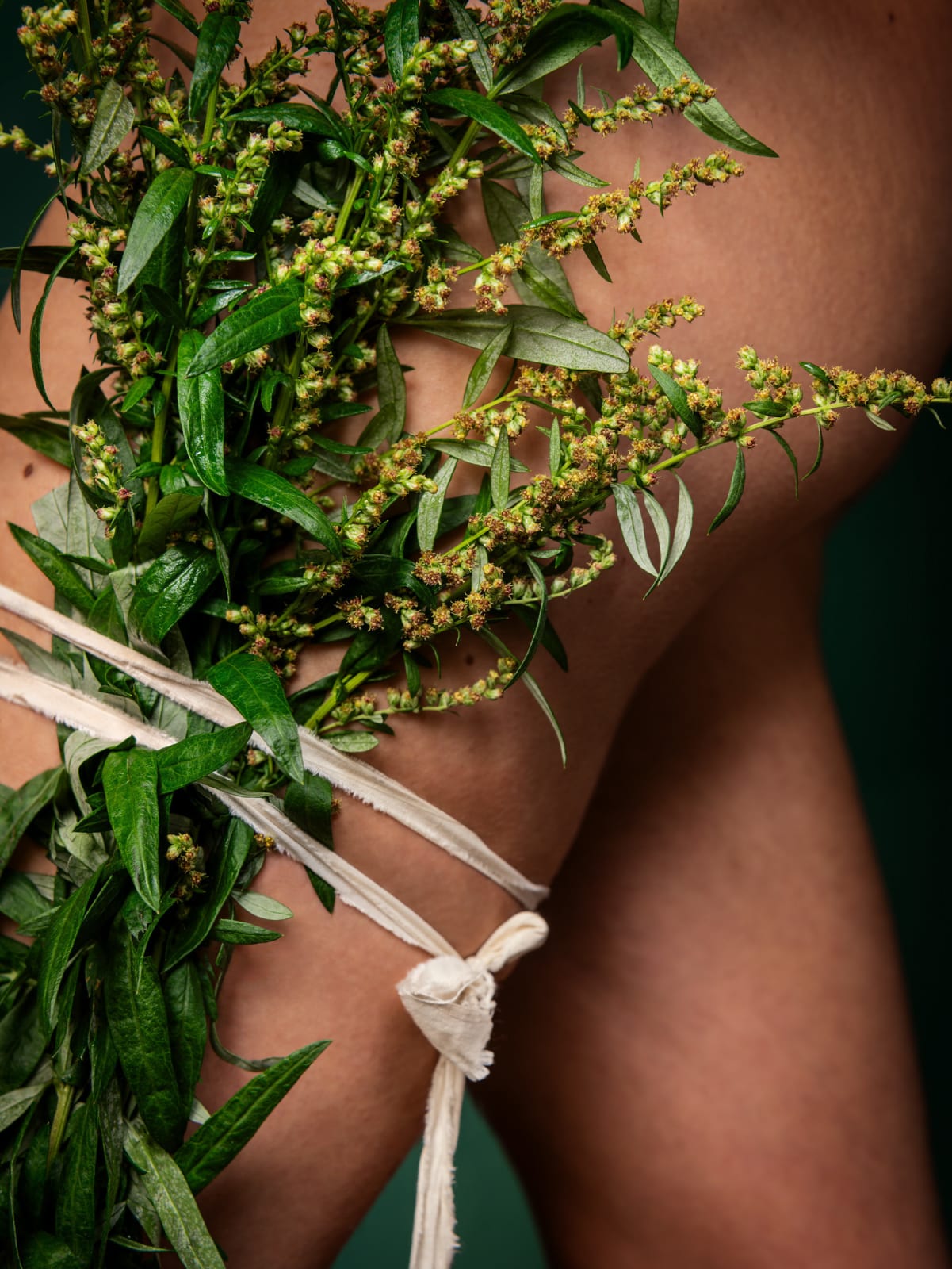 Ann Shelton, The oldest wort (mugwort, felon herb, Una, Artemisia, St. John’s plant, cingulum sancti Johannis, chornobylnik, beifuß, besenkraut, fliegenkraut, gänsekraut, Johannesgürtelkraut, jungfernkraut, sonnenwendkraut, weiberkraut, werzwisch, wilder wermut, wisch), 2023