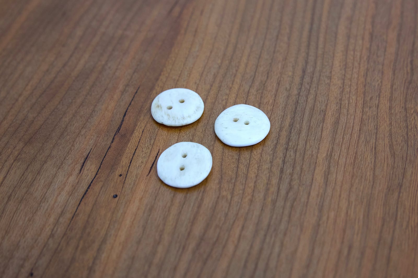 Daegan Wells, Component from research project 'Bush coat' (hand-carved bone buttons), 2023