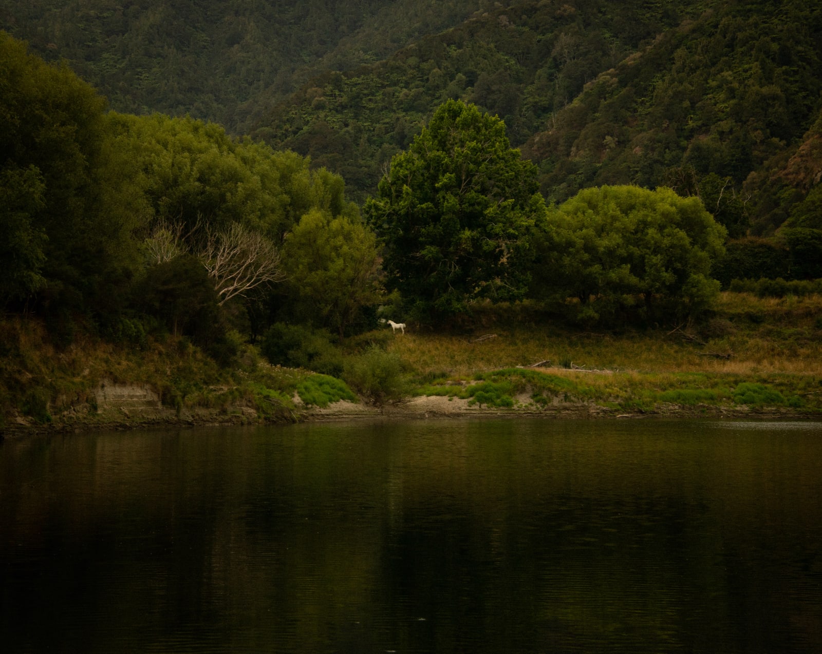 Tia Ranginui, Mauri II, 2019